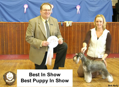 Best In Show & Best Puppy In Show