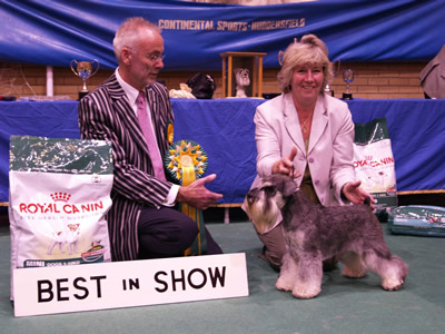 Best In Show