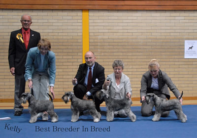 Best Breeder In Breed